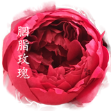 Nature Salt-Rose